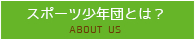 スポーツ少年団とは？